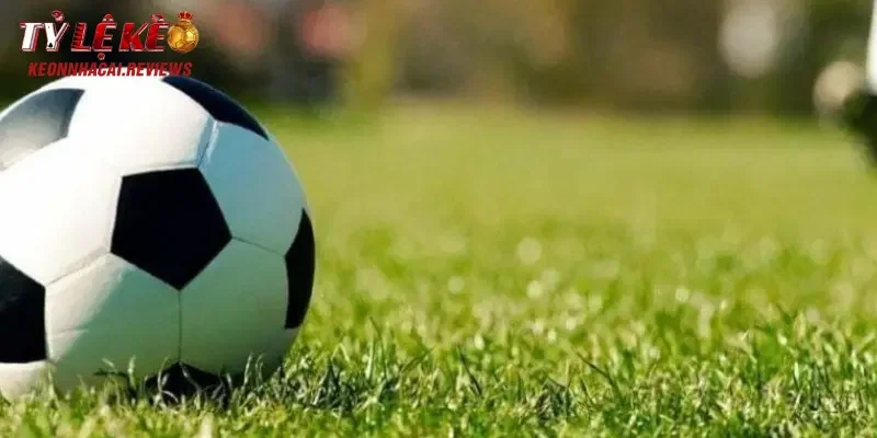 Top Website Bán Tips Bóng Đá