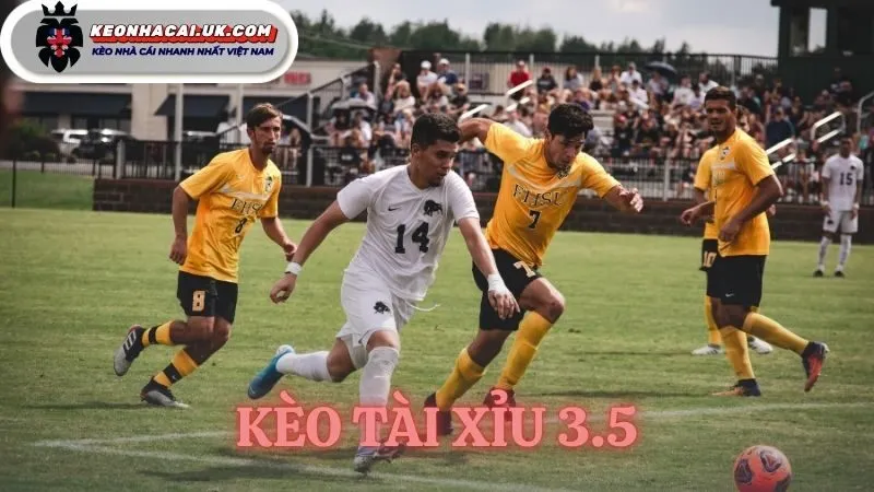 kèo tài xỉu 3.5